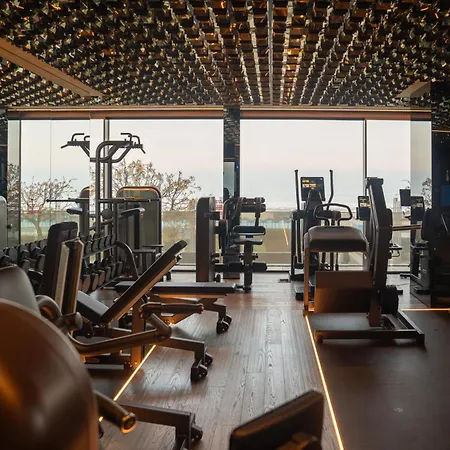 호텔 The Promenade Luxury Wellness 리치오네